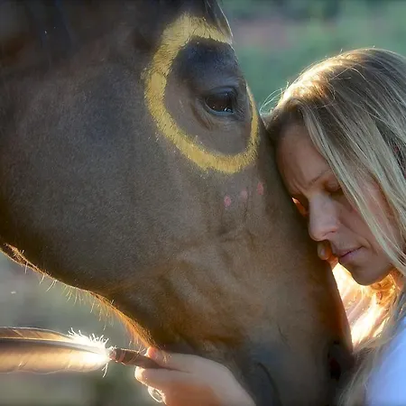 The Mountain Lion - Horses Sedona'S Most Loved-3